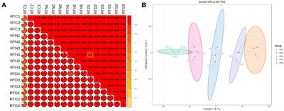 Transcriptomics and metabolomics reveal the primary and secondary metabolism changes in Glycyrrhiza uralensis with different forms of nitrogen utilization